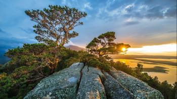 Фотография к новости: Жаз маусымында «Бурабайға» жарты миллионға жуық адам барды