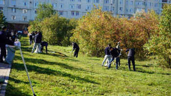 Фотография к новости: Бас прокуратура қызметкерлері жалпықалалық сенбілікке қатысты