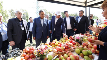 Фотография к новости: Алматы облысында алғаш рет «Garden Day - Aport» бақша күні өтті