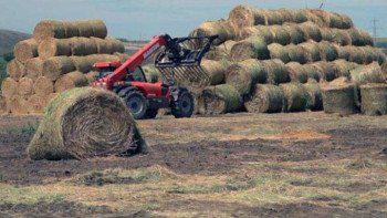 Фотография к новости: Қазақстанда 50,7 млн тонна жем дайындау жоспарлануда