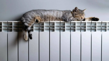 Фотография к новости: Бүгіннен бастап астанада жылу беріле бастайды