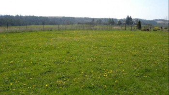 Фотография к новости: Батыс Қазақстан облысының прокуратурасы заңсыз берілген жер телімдерін анықтады