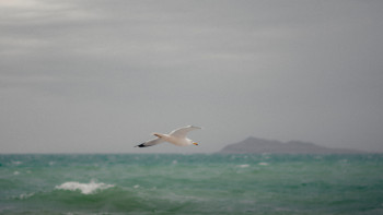 Фотография к новости: Елімізде жаңа Су кодексін жыл соңына дейін қабылдау жоспарланып отыр