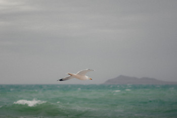 Фотография к новости: Елімізде жаңа Су кодексін жыл соңына дейін қабылдау жоспарланып отыр