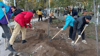 Фотография к новости: "Таза Қазақстан": Елордада ағаштар мен бұталар отырғызылды