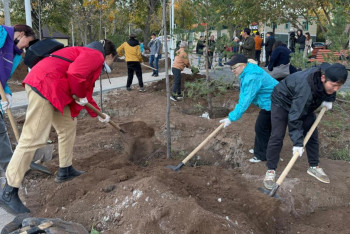 Фотография к новости: "Таза Қазақстан": Елордада ағаштар мен бұталар отырғызылды