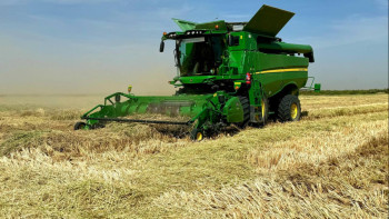 Фотография к новости: Қызылорда облысында биыл күріштің жоғары өнімділігі байқалады