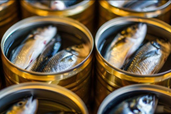 Фотография к новости: Алматы облысында консервіленген балық өнімдерінің өндірісі іске қосылады