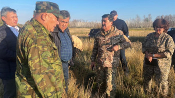 Фотография к новости: Министр өрттен соң екі жыл өткенде Қостанай орманын аралап көрді