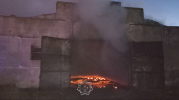 Фотография к новости: СҚО-да құтқарушылар қоймада зығыр тұқымының жануын сөндірді