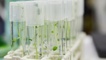 Фотография к новости: Отандық өңдеу өнеркәсібі қалай дамып жатыр