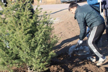 Фотография к новости: "Таза Қазақстан" республикалық акциясы қарқынды жалғасып жатыр
