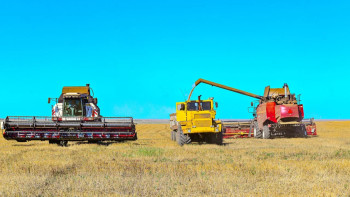 Фотография к новости: Қостанайлық фермерлер "Кең дала 2" бағдарламасының игілігін көріп отыр