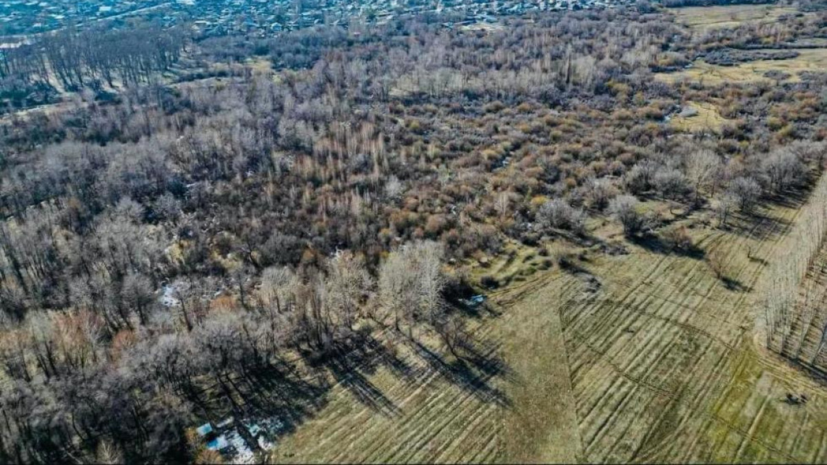  Жер ресурстарын басқару комитеті