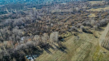 Фотография к новости: Талдықорғанда Ардагерлер саябағынан заңсыз берілген жер учаскелері мемлекетке қайтарылды