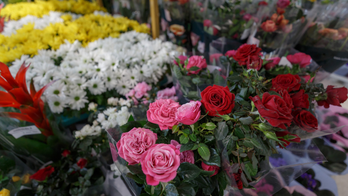  Артём Чурсинов  - Архив