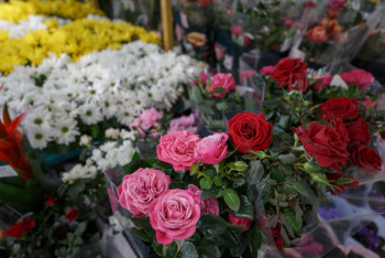 Фотография к новости: Мұғалімге гүл сыйлауға бола ма? – Министрлік жауап берді