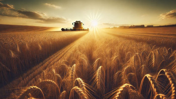 Фотография к новости: Абай облысында жиын-терін жұмысы жалғасуда