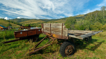 Фотография к новости: Көлігі жоқтар есек арбамен отын мен тезек теріп от жағып жатыр – депутат