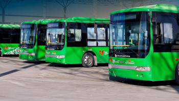 Фотография к новости: Референдум күні Шымкентте қоғамдық көлік тегін жүреді