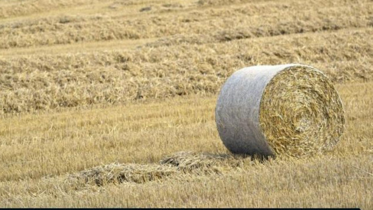  Ауыл шаруашылығы министрлігі