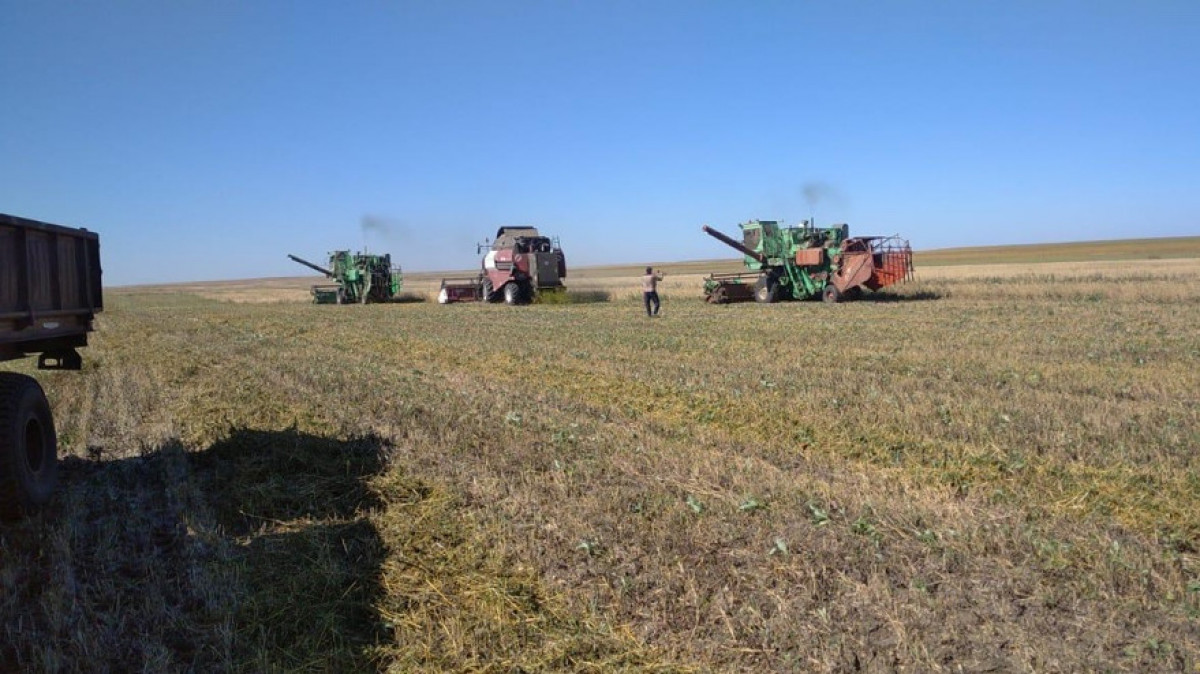  Кейіпкердің жеке мұрағатынан