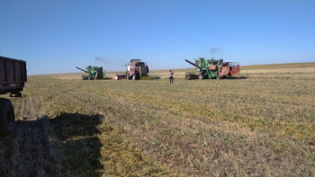 Фотография к новости: Фермерлер әулеті