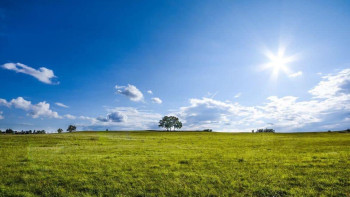 Фотография к новости: Мемлекеттің жерін иемденген ЖШС 1 млн теңгеден аса айыппұл төледі