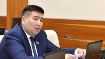 Фотография к новости: Электр қуатына сұраныс артпаса, кемімейтіні белгілі – депутат