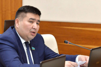 Фотография к новости: Электр қуатына сұраныс артпаса, кемімейтіні белгілі – депутат