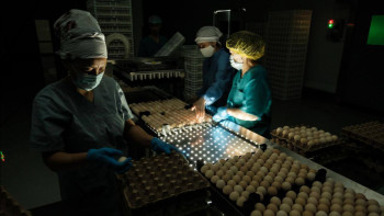 Фотография к новости: Жамбылда жылына 30 млн жұмыртқаға арналған инкубатор іске қосылды