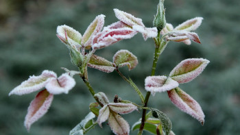 Фотография к новости: 12 өңірде ауа райына байланысты ескерту жарияланды