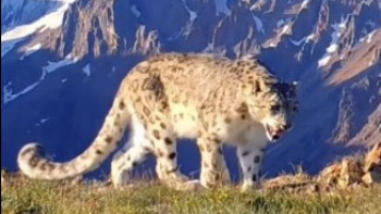 Фотография к новости: Бүгін – Халықаралық жануарларды қорғау күні