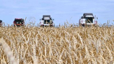 Ақтөбеде астық жинау науқаны аяқталуға жақын