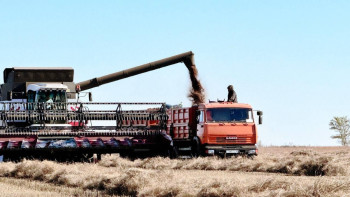 Фотография к новости: Солтүстік Қазақстан облысында 5,6 млн тонна астық бастырылды