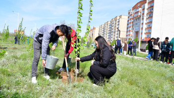 Фотография к новости: Ақтөбе облысында көгалдандыру жұмыстары қалай жүргізілді?