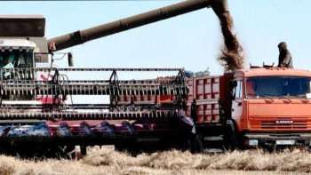 Фотография к новости: Елімізде 24 млн тоннадан астам астық бастырылды