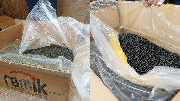 Фотография к новости: 1,5 тоннаға жуық насыбай тәркіленді