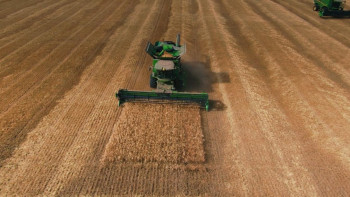 Фотография к новости: Ақмолалық диқандар 6 миллиондық межеден асты