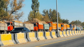 Фотография к новости: Жетісуда қызылша тиеген жүк көліктері кептелісте тұр