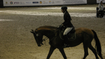 Фотография к новости: Елордада Ұлттық ат спорты түрлерінен фестиваль өтеді