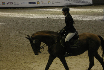 Фотография к новости: Елордада Ұлттық ат спорты түрлерінен фестиваль өтеді