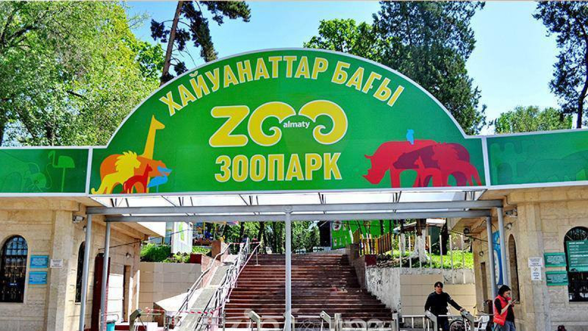  almatyzoo