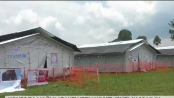 Фотография к новости: Конгода маймыл шешегін жұқтырудың 30 мың дерегі тіркелді