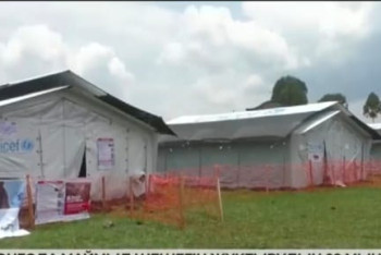 Фотография к новости: Конгода маймыл шешегін жұқтырудың 30 мың дерегі тіркелді