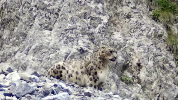 Фотография к новости: Қар барысы бұл жолы Алматыда фототұзаққа түсті