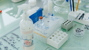 Фотография к новости: Ғалым: ГМО өнімдерінің денсаулыққа зияны әлі зерттелмеген