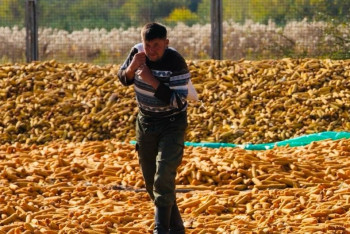 Фотография к новости: Жетісу фермерлері шығынға батуы мүмкін