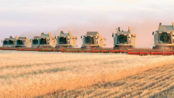 Фотография к новости: Елімізде 44,5 млн тонна жем дайындалды