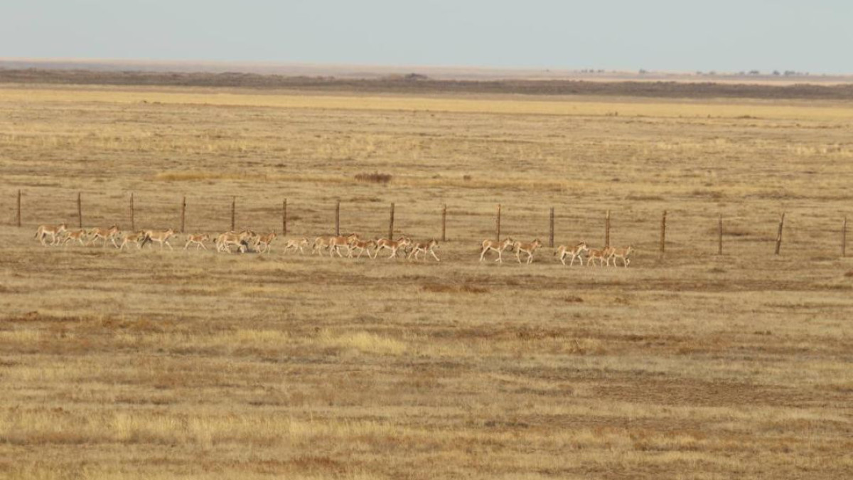  Экология және табиғи ресурстар министрлігі